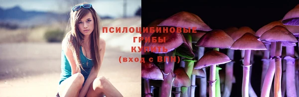 тгк Беломорск